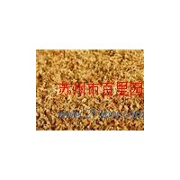 供应桂花