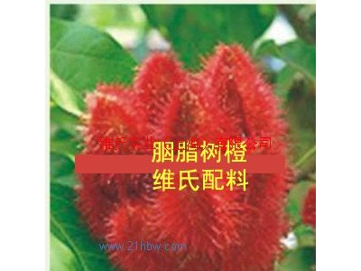 供应胭脂树橙图1