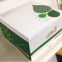供应烘焙包装蛋糕盒（绿色）