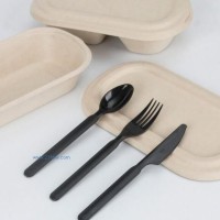供应一次性刀叉勺套装 木质刀叉勺塑料刀叉勺 黑色透明降解刀叉勺