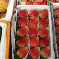奇菓草莓专卖