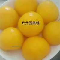黄桃罐头，升升园