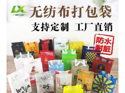 现货一次性餐饮外卖生鲜水果无纺布立体打包覆膜环保手提袋防水油图3