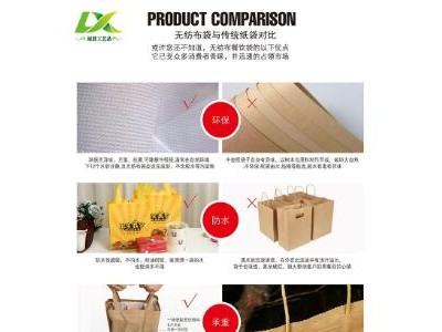 现货一次性餐饮外卖生鲜水果无纺布立体打包覆膜环保手提袋防水油图4
