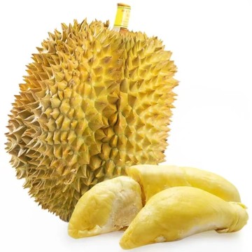 泰国金枕头榴莲D159