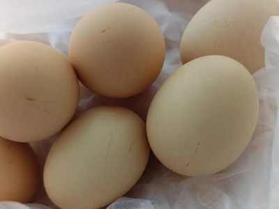 求购鸡蛋和色拉油