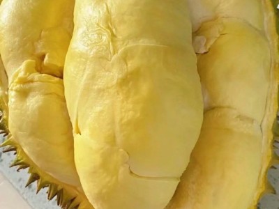 经销商求购榴莲肉、榴莲饼