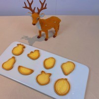 各种塑胶饼干模具，可定制